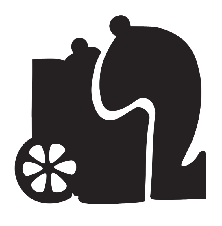 CV Body wheelchair